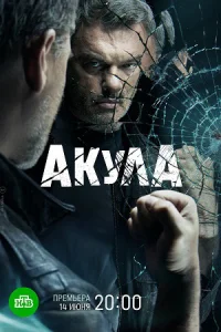 Акула сериал 2022