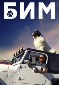 Бим сериал 2020